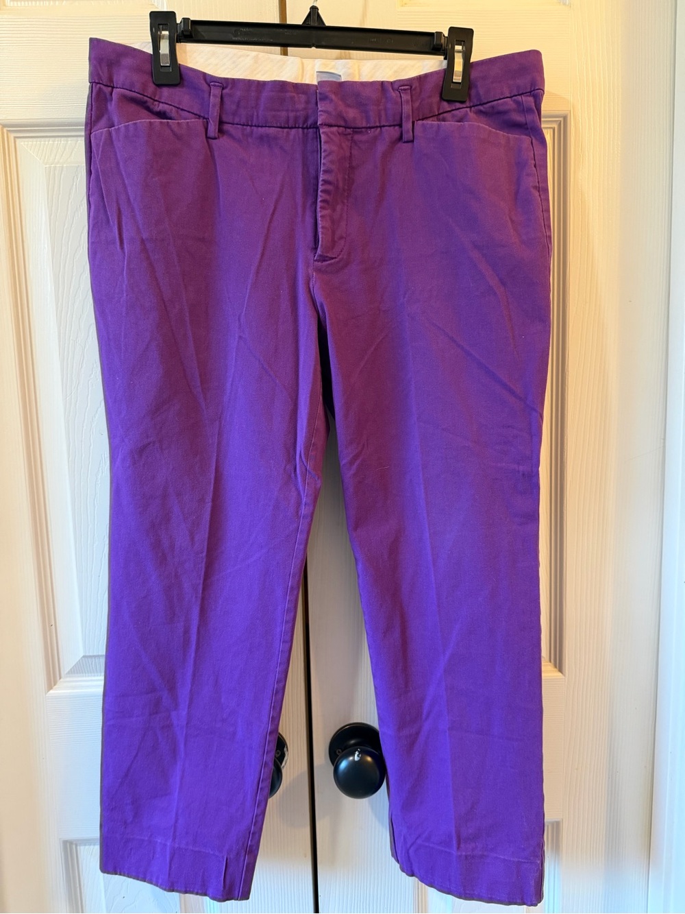 Woman’s Purple Chino Pants - Classic Straight Fit size 12